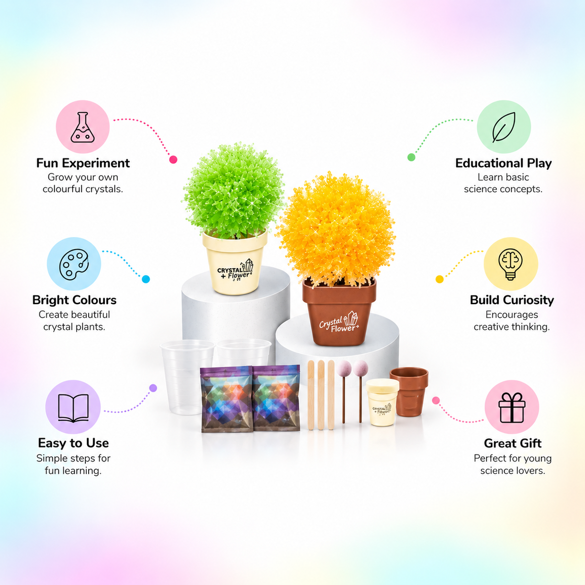Crystal Plant – Crystal Science Experiment Kit