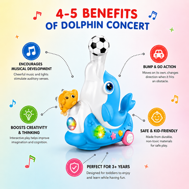Dolphin Concert